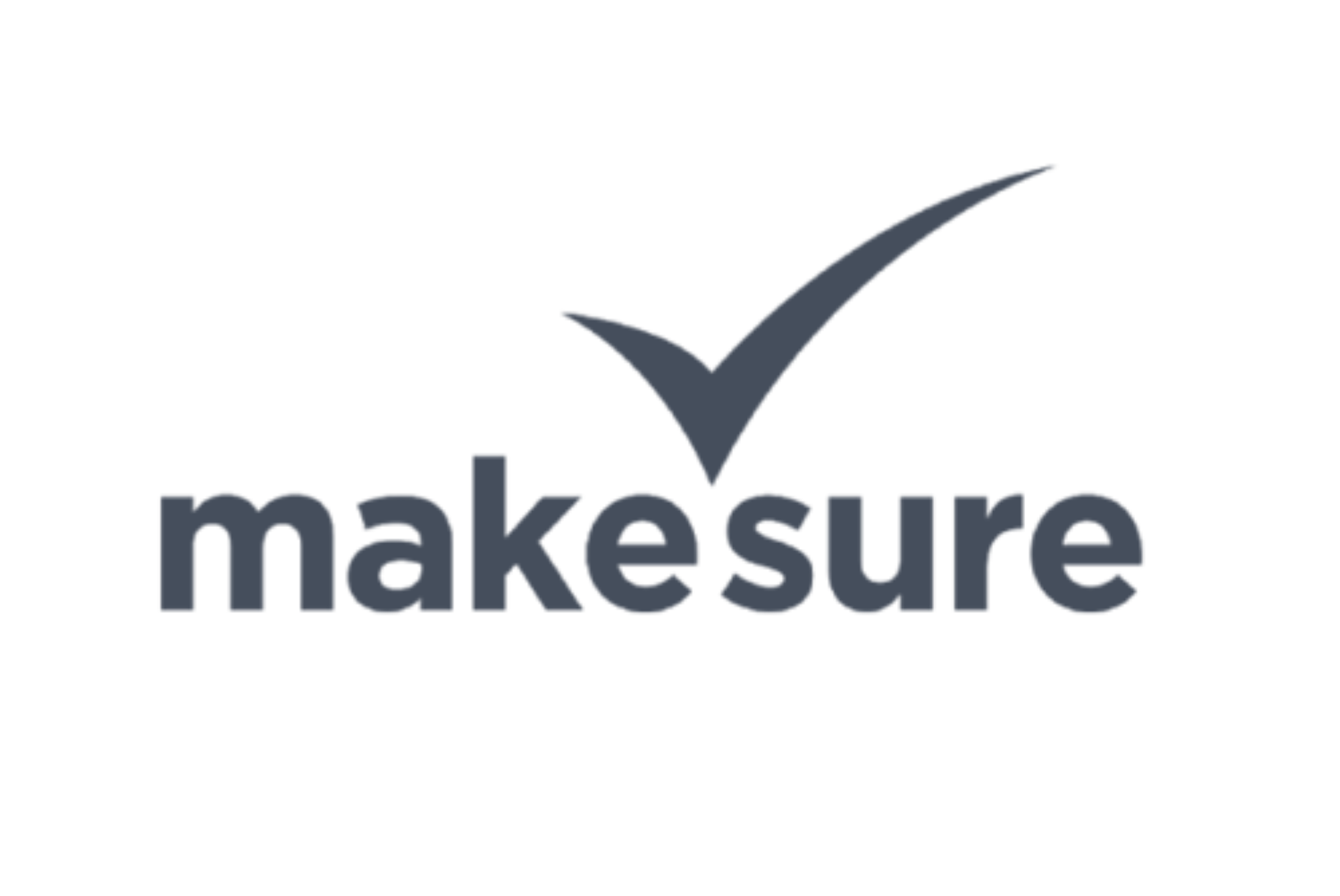 Makesure LP logo
